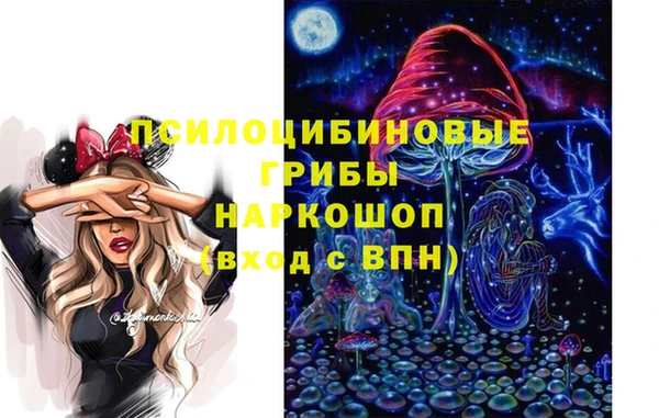 jwh Гусь-Хрустальный