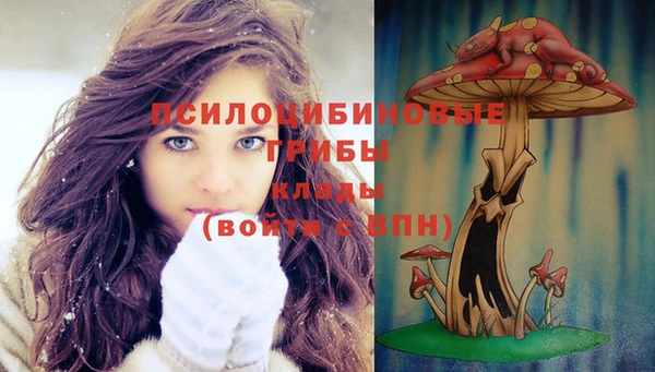 а пвп мука Вязьма